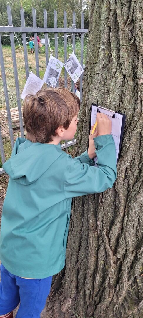 Bomen groep 6 2 copy