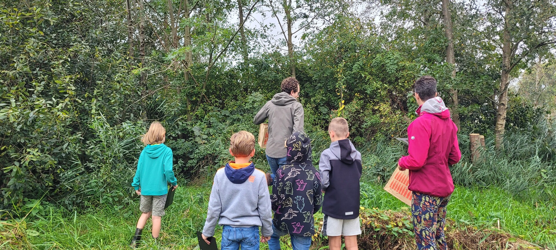 Bomen groep 6 3