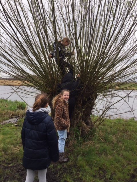 De Gouwe Plek groep 6 2