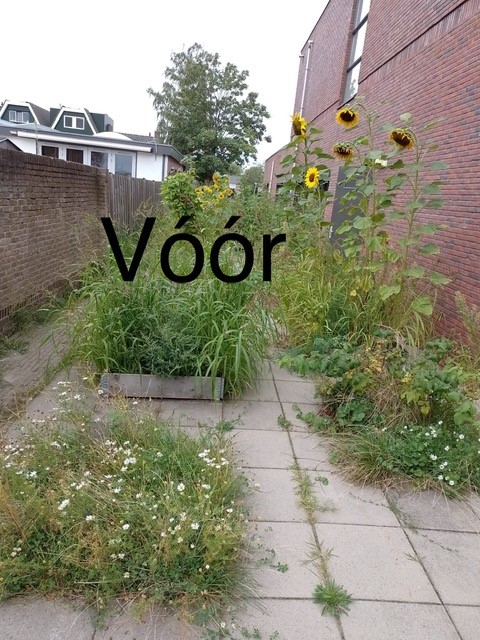 Voor